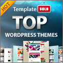 WordPress Themes